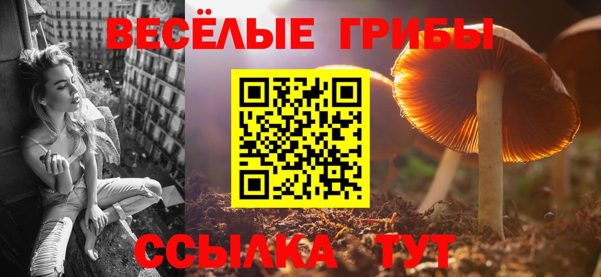 Ялуторовск  Галлюциногенные грибы прущие грибы  Вход с VPN 